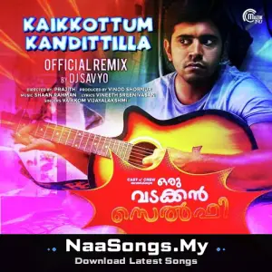 Kaikkottum Kandittilla (Official Remix By DJ Savyo)