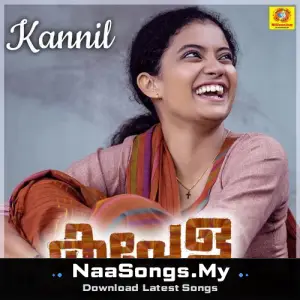 Kannil (From "Kappela") (Original Motion Picture Soundtrack)