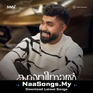 Kasavinaal
