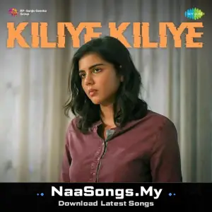 Kiliye Kiliye - Afrobeat Mix