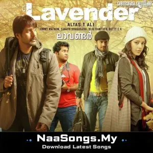 Lavender