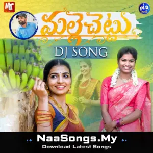 Malle Chettu (DJ Version)