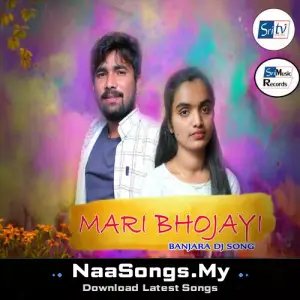 Mari Bhojayi Banjara Dj Song
