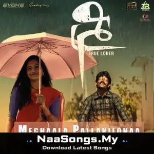 Meghaala Pallakilonaa (From Sree True Lover)