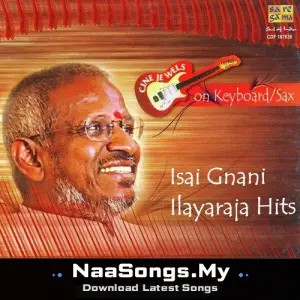 Melody Hits Of Ilayaraja Melody Instrumental Tamil