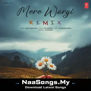 Mere Wargi (Remix)