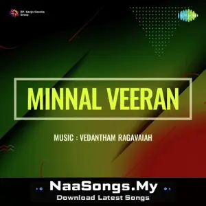 Minnal Veeran