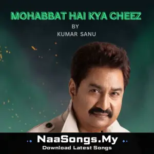 MOHABBAT HAI KYA CHEEZ