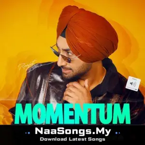 Momentum