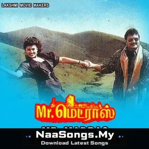 Mr. Madras