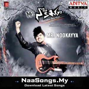 Mr. Nookayya