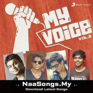 My Voice, Vol. 2
