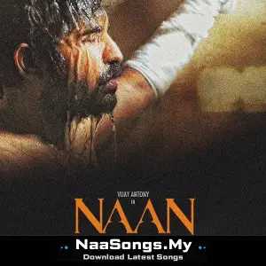 Naan