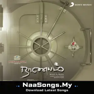 Naanayam