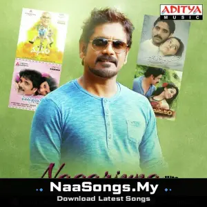 Nagarjuna Hits