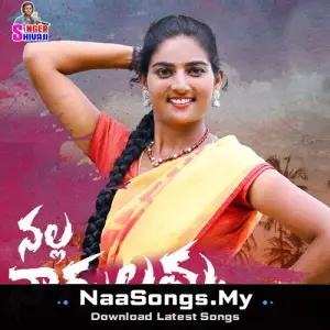 Nalla Nagulamma (DJ Song)