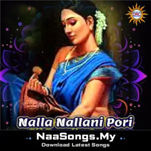 Nalla Nallani Pori (DJ Remix Song)
