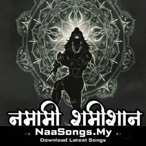 Namami Shamishan