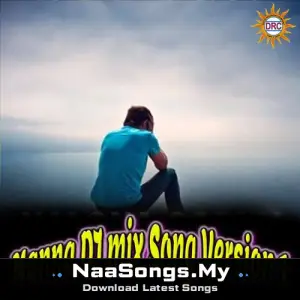 Nanna DJ mix Song (Version 1)