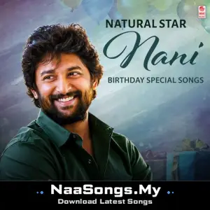 Natural Star Nani Birthday Special Songs