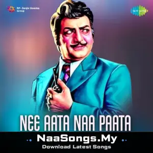 Nee Aata Naa Paata - Hits Of NTR