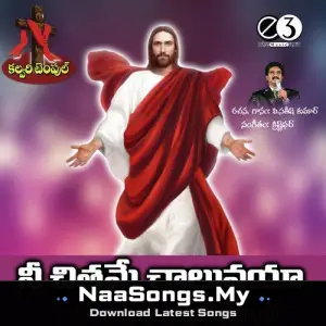 Nee Chittame Chalunaya