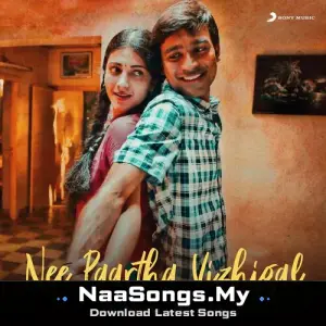 Nee Paartha Vizhigal (Trending Version)