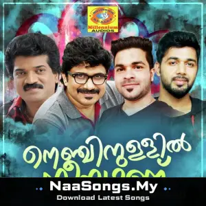 Nenjinullil Neeyanu
