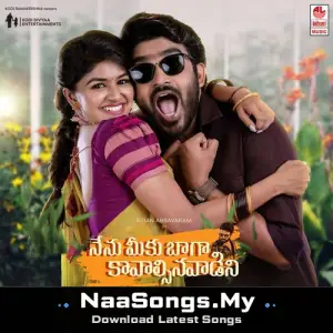 Nenu Meeku Baaga Kavalsinavaadini