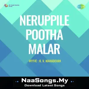 Neruppile Pootha Malar