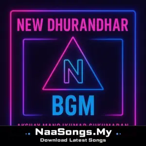 New Dhurandhar Bgm