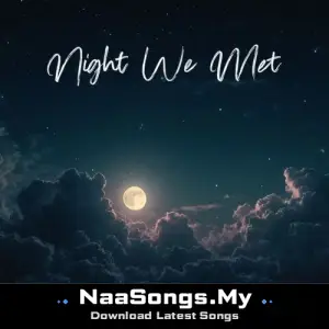 Night We Met