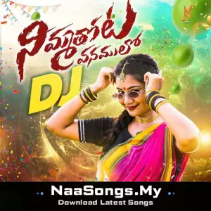 Nimmathota Vanamulo DJ