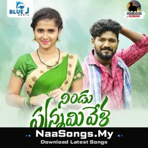 Nindu Punammi Vela