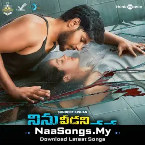Ninu Veedani Needanu Nene (Original Motion Picture Soundtrack)