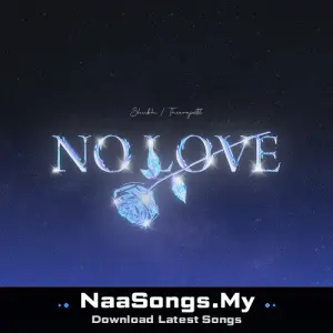 NO LOVE