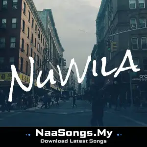 Nuvvila