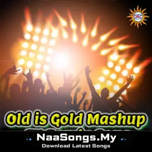 Old is Gold Mashup (DJ Remix Song)