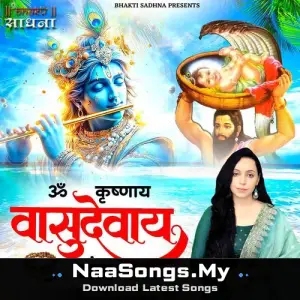 Om Krishnaya Vasudevaya Mantra