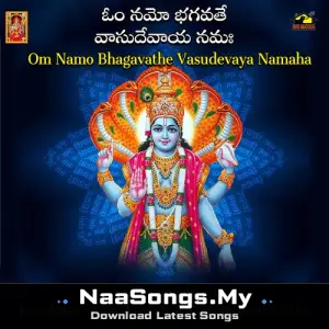 Om Namo Bhagavthe Vasudevaya Namaha