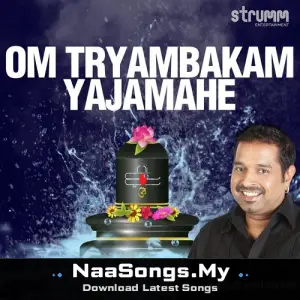 Om Tryambakam Yajamahe