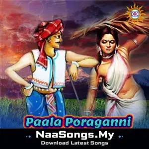 Paala Poraganni (DJ Remix Song)