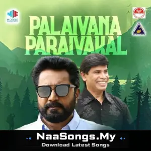 Palaivana Paravaigal