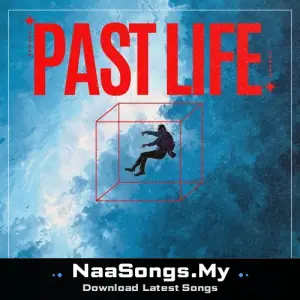 Past Life