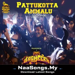Pattukotta Ammalu (Remix)