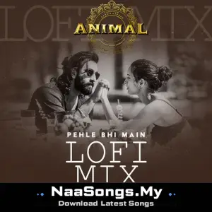 Pehle Bhi Main Lofi Mix