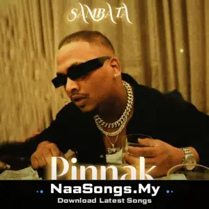 Pinnak