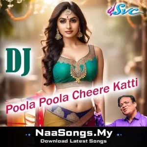 Poola Poola Cheere Katti (DJ Song)