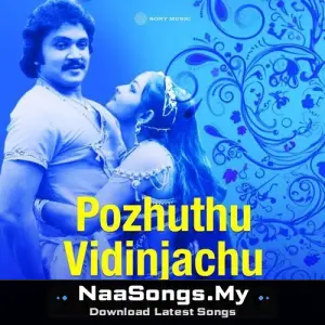 Pozhuthu Vidinjachu