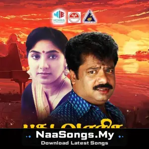 Pudhu Varisu